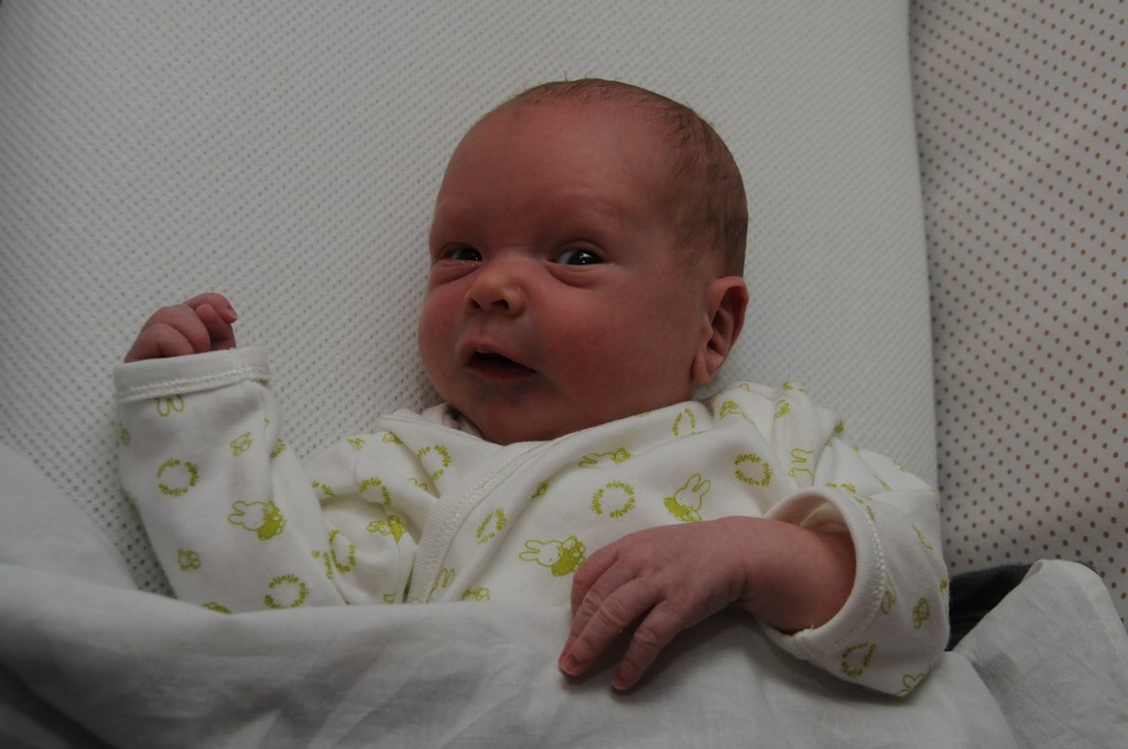 copyright SvendeVries.nl