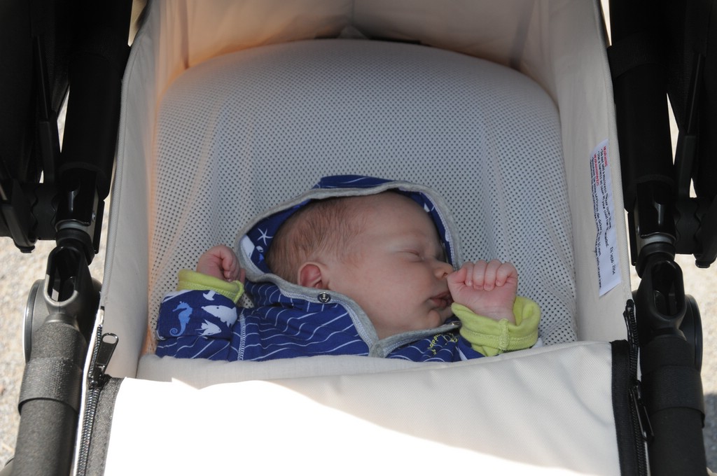 copyright SvendeVries.nl