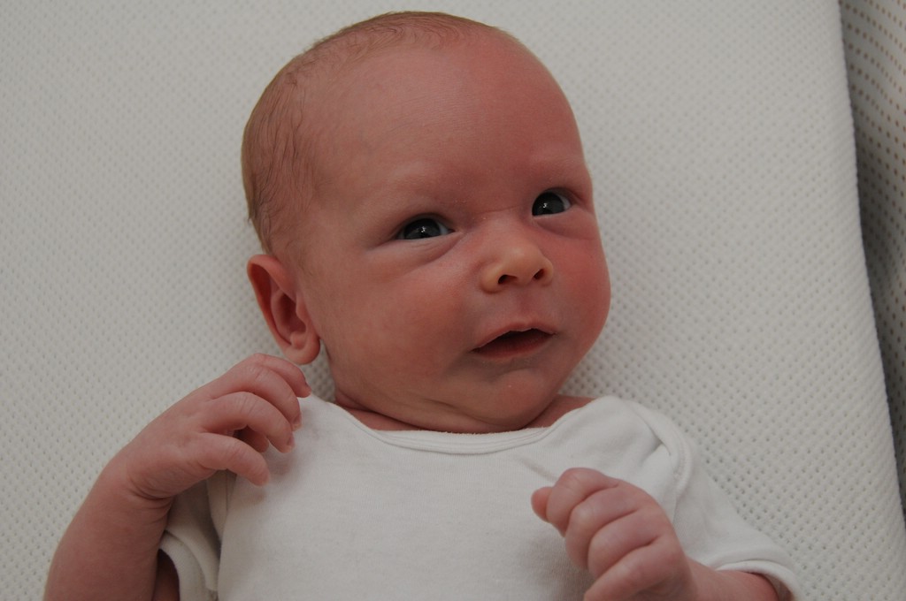 copyright SvendeVries.nl