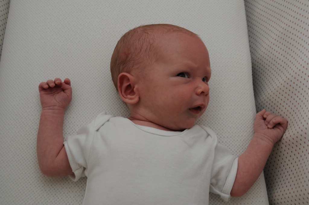 copyright SvendeVries.nl