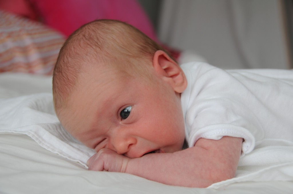 copyright SvendeVries.nl