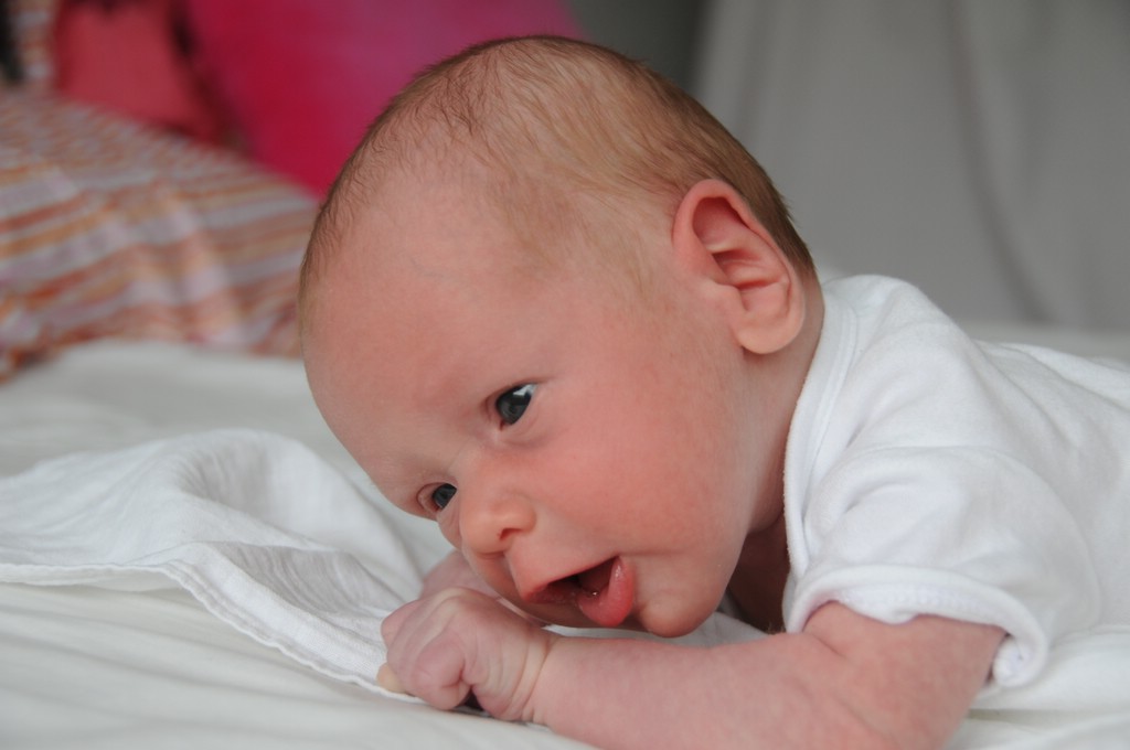 copyright SvendeVries.nl